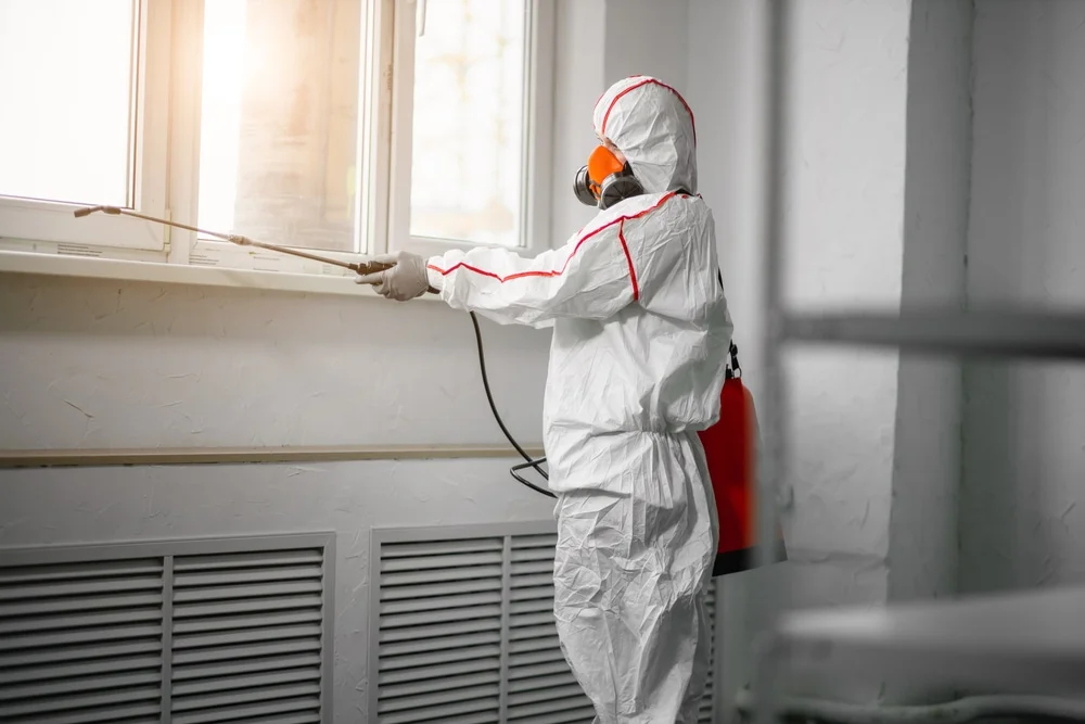 Professional mold remediation services in Oakdale, CT